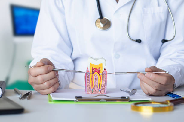 Best Emergency Wisdom Tooth Extraction in Plum Grove, TX